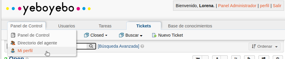 Mi Perfil
